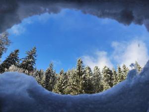 a view of a forest with snow covered trees at Raj pod Košenjakom in Dravograd