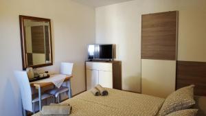 TV a/nebo společenská místnost v ubytování Guest House Jole