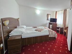 a hotel room with a bed and a red carpet at Caprice Monteoru in Sărata-Monteoru +43 photos