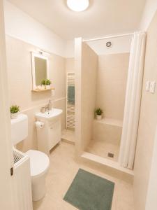 a bathroom with a toilet and a sink and a shower at VeloVibe apartman in Balatonalmádi