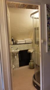 a bathroom with a sink and a shower with a mirror at Le Petit Savriere B&B in Tronget
