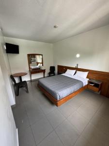 a bedroom with a bed and a desk and a television at Hotel Harmony in Caracas