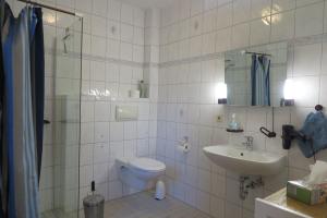 a bathroom with a toilet and a sink at Apartment "An der Süderschmiede" in Sieverstedt