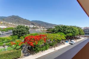 a view of a garden with red flowers on a street at Ático en Candelaria 1 in Candelaria