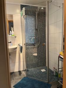 a shower with a glass door in a bathroom at First Tee am Rosarium in Sangerhausen +22 photos