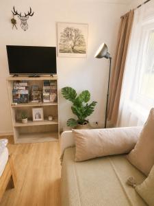 a living room with a couch and a flat screen tv at Schwarzwaldliebe mit Garten & Sauna in Gaggenau