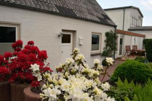 埃肯弗德Ferienhaus Am Strand的相册照片