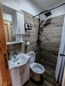 a bathroom with a toilet and a sink at Wildmont Prokletije in Gusinje +38 photos