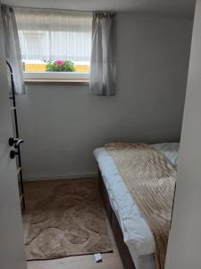 a bedroom with a bed and a window with a rug at Apartmaji pri Pinku in Breginj