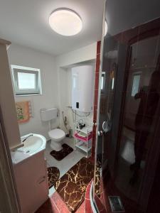 a bathroom with a shower and a toilet and a sink at Cozy Studio in Deszk +31 photos
