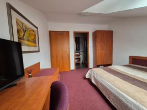 a hotel room with a bed and a flat screen tv at Penzión Borievka in Poprad