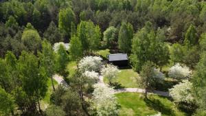 a park with a bench in the middle of a forest at Miško Kortai in Menciškė
