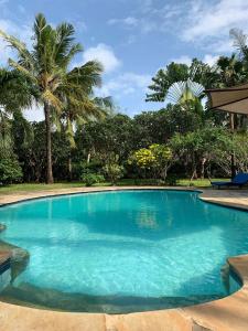 a swimming pool with blue water and palm trees at Beach House - private room in Diani Beach +5 photos
