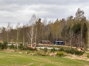 a farm with a trailer in the middle of a field at Dīķu oāze in Atspuki