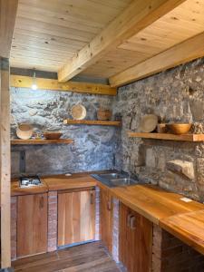 a kitchen with wooden cabinets and a sink at Košara Trišnjevac in Lusnić