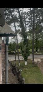 a group of trees in a yard with a house at ძველი სახლი Old house in Ureki