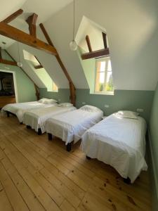 a room with three beds in a attic at Le clos du Breuchin in Breuchotte