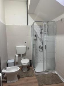 a bathroom with a shower and a toilet and a sink at Firenze inn 21 Florence in Florence