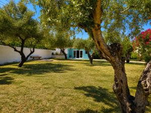 a group of trees in a yard with a building at Quinta da Ponte das Hortas 3 in Elvas
