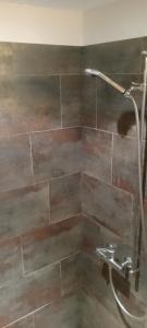a bathroom with a shower with brown tile at Studio in St Moritz Champfer in St. Moritz
