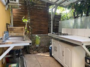 an outdoor kitchen with a sink and a grill at Ti Kaz Ravinala in Ravine des Cabris