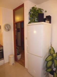 a white refrigerator with plants on top of it at Apartment Sime in Zadar