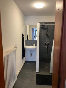 a bathroom with a sink and a shower at Helles 3 Bett Zimmer in Jerrishoe