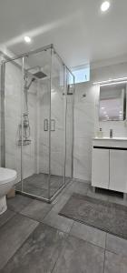 a bathroom with a shower and a toilet and a sink at Casa dos Azevedos in Câmara de Lobos