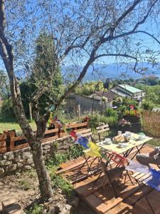 a picnic table and a tree in a yard at Ca' della Civetta in Gavedo