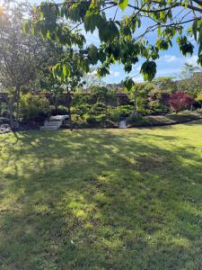 Jardí fora de Kirisavan Loft