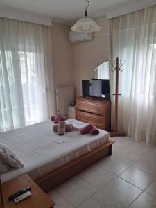 a bedroom with a large bed and a television at Nana apartment in Perea
