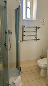 a bathroom with a shower and a toilet at Отель у моря Chester in Odesa +37 photos