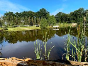 a lake with a boat in the middle of it at B&B Landgoed de Bossenhoeve in Schayk +9 photos