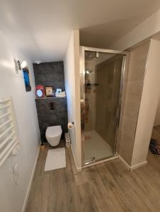 a bathroom with a shower and a toilet at Chambre ELENA in La Crau
