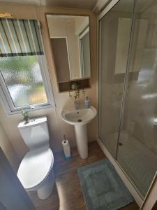 a bathroom with a toilet and a sink and a shower at LuLu's Lodge, Billing Aquadrome in Northampton +25 photos