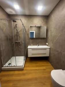 a bathroom with a shower and a sink at River View Apartment in the Park in Marijampolė