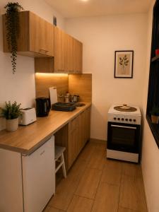 a small kitchen with a counter and a stove at Studio Słowackiego in Września