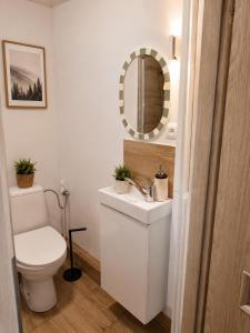 a bathroom with a toilet and a sink and a mirror at Studio Słowackiego in Września