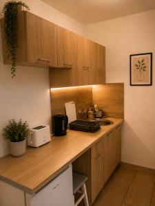a kitchen with wooden cabinets and a counter top at Studio Słowackiego in Września