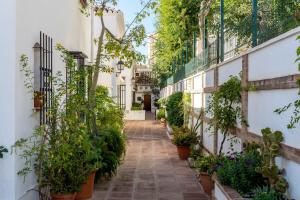 an alley with potted plants on the side of a building at Casa Pueblo Lopez in Fuengirola