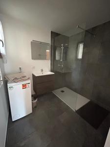 a small bathroom with a sink and a shower at Appartement Villars Colmars in Villars-Colmars