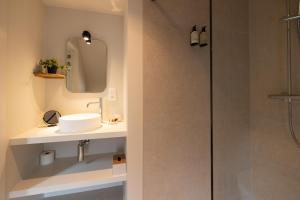 a bathroom with a sink and a shower at Maison Dieu in Hasselt +24 photos