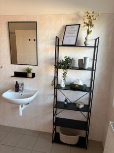 a bathroom with a sink and a mirror at Penzion U Tomáše in Ratíškovice +17 photos