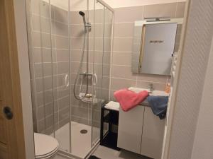 a bathroom with a shower and a toilet and a sink at Le Relais d'Heugnes in Heugnes