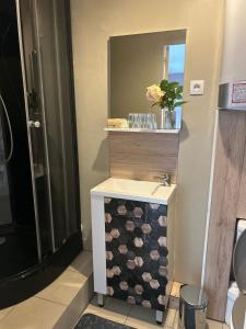 a bathroom with a sink and a mirror at Le nid gourmand in Andryes