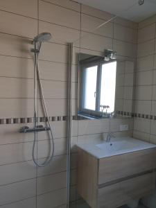 a bathroom with a shower and a sink and a mirror at La Tour de l'Ill in Strasbourg