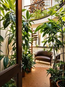 a room filled with lots of plants at Hotel Saint Francois Xavier in Lourdes