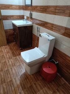 a bathroom with a toilet and a sink at Saanidhya Homestay in Mukteshwar +150 photos