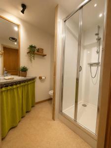a bathroom with a shower and a sink and a toilet at Gîte Arnica in Soultzeren