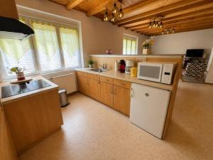 a kitchen with a sink and a microwave at Gîte Arnica in Soultzeren